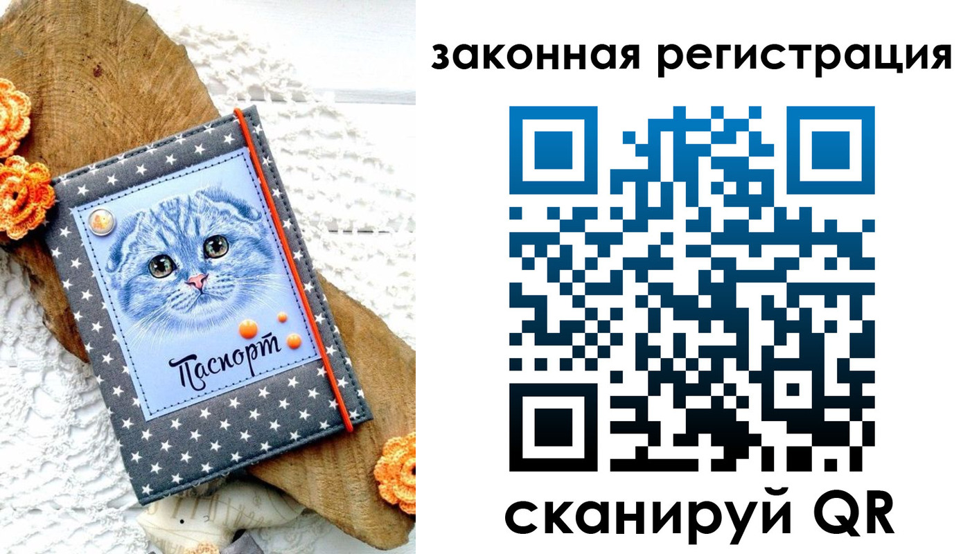 регистрация в Вольске
